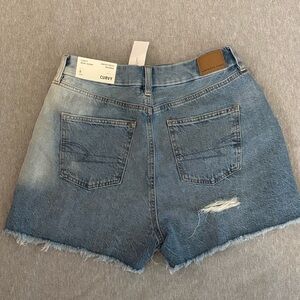 American Eagle Curvy Mom Short